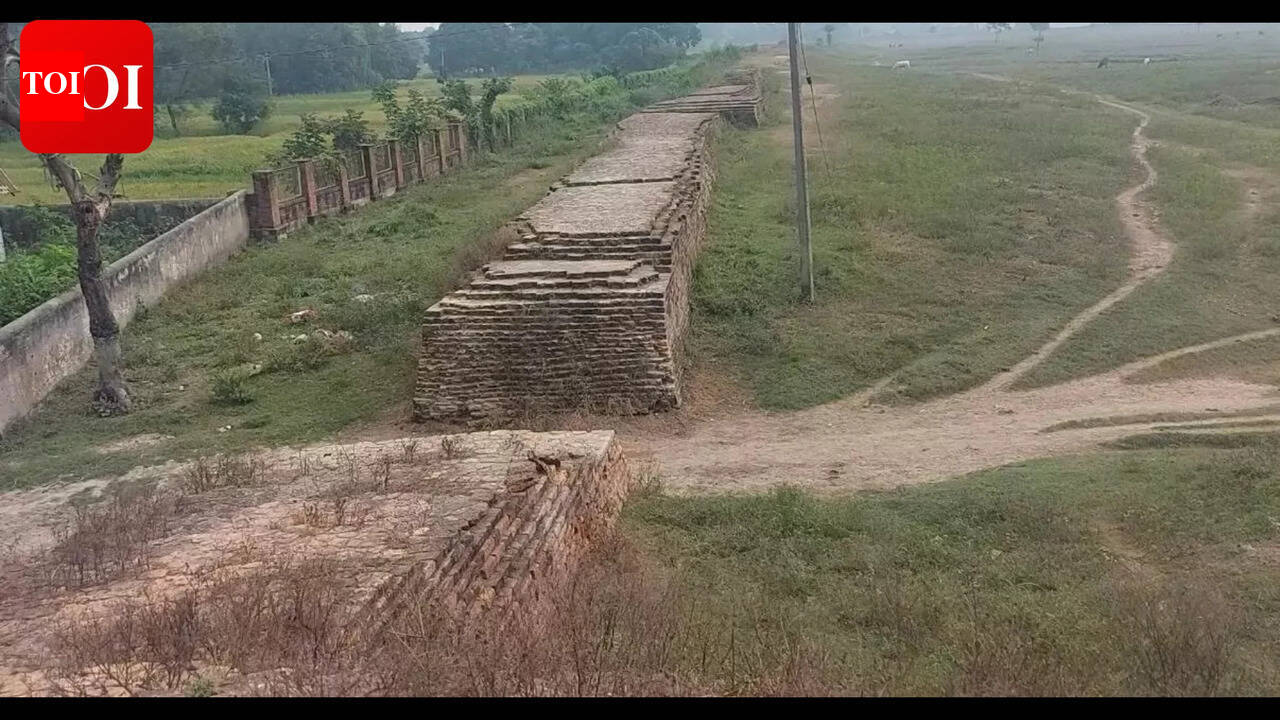 ASI approves excavation at ancient Balirajgarh fort in Madhubani