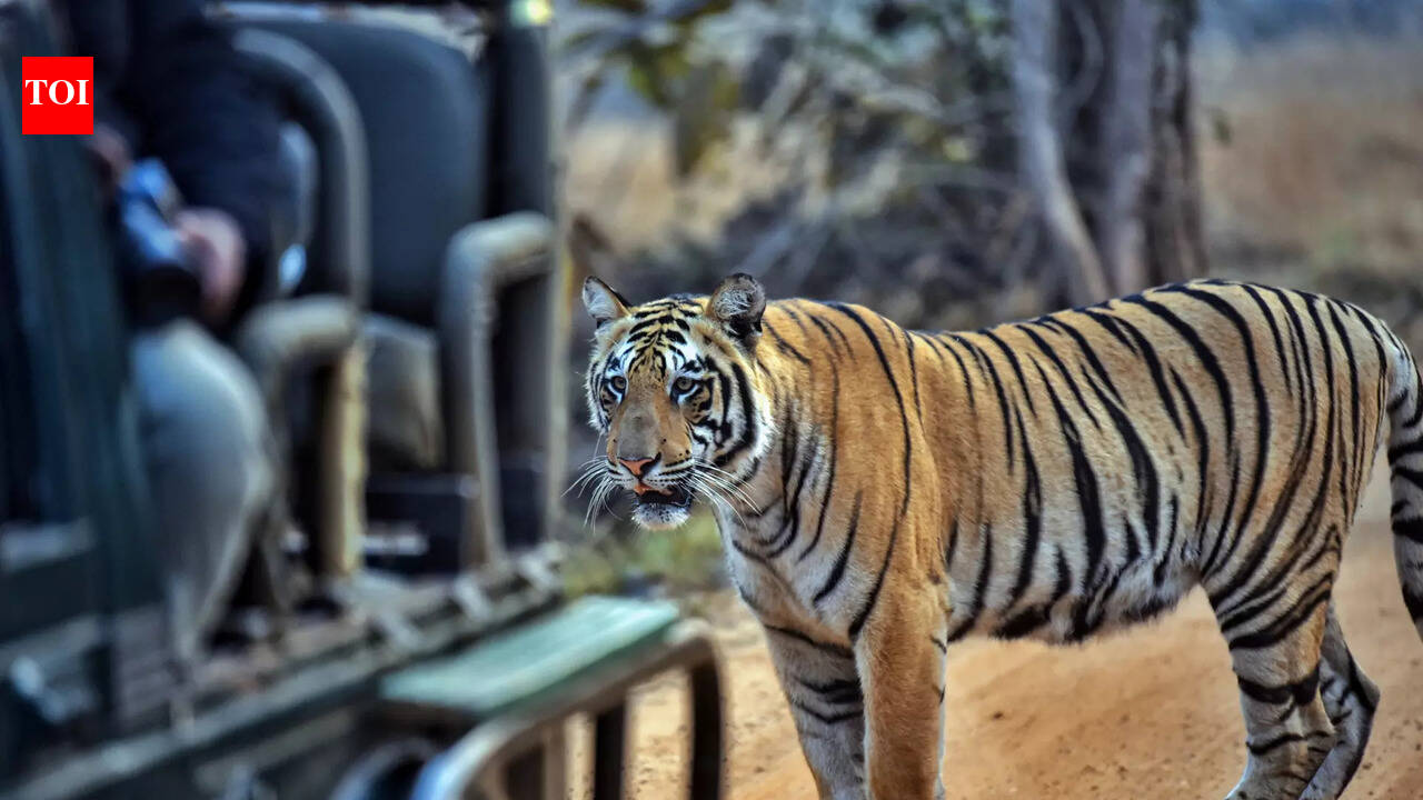 Rajgir Zoo Safari to remain shut on March 3 and 4 for Holi