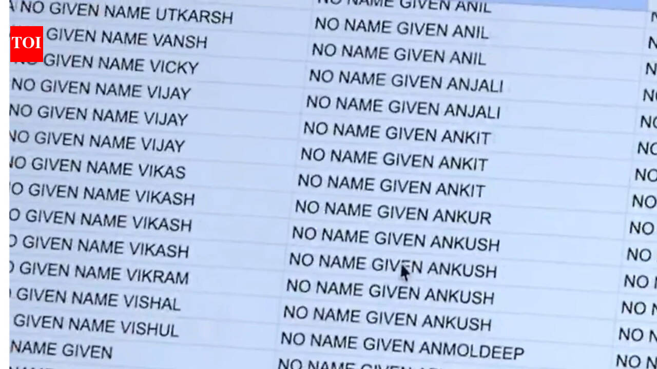 ‘Specific to Punjabi population’: MAGA activist claims thousands of US trucking companies operate under ‘No Name Given’