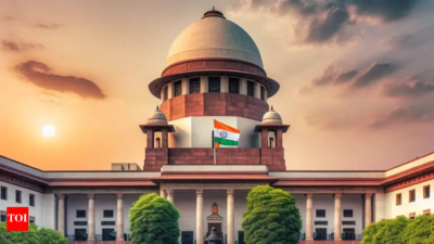 Husband or parents' income for OBC creamy layer? SC to rule