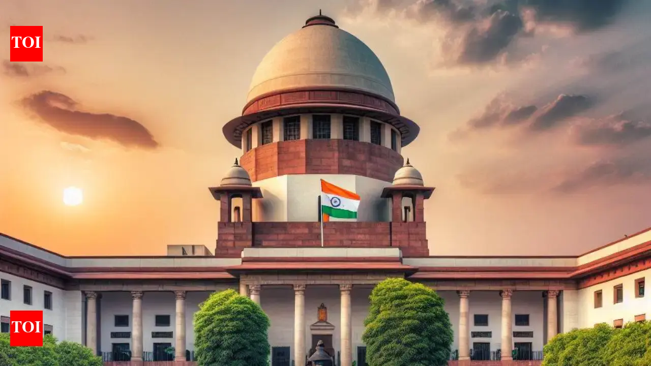 Husband or parents' income for OBC creamy layer? SC to rule