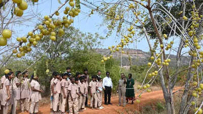 Melur eco park to help conserve genes, raise awareness