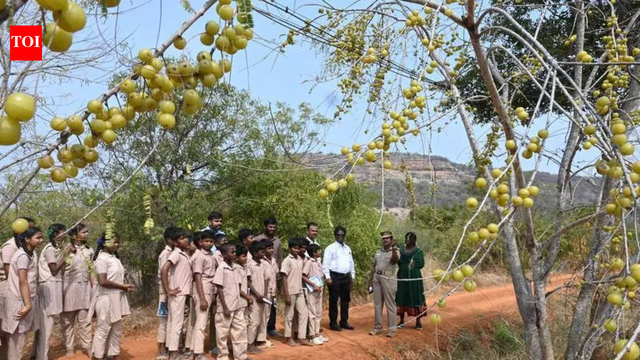 Melur eco park to help conserve genes, raise awareness