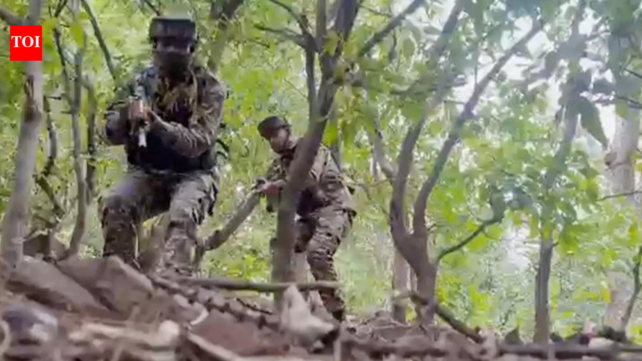 Troops fire at ‘drone’ along LoC; search for airdrops