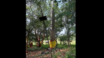 ASI begins excavation at Kumarikalpalayam ancient site