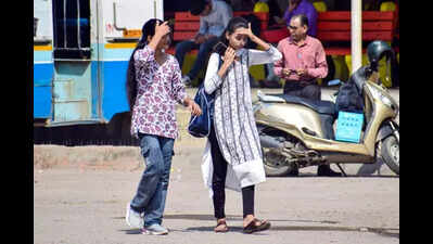 State to witness more heatwave days this summer: IMD DG