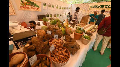 From tubers to tomatoes, rare varieties draw crowds at Kisan Sammelan