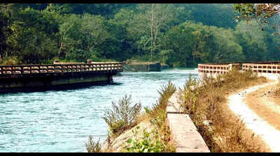 UP to get first exclusive leopard safari park in Pilibhit