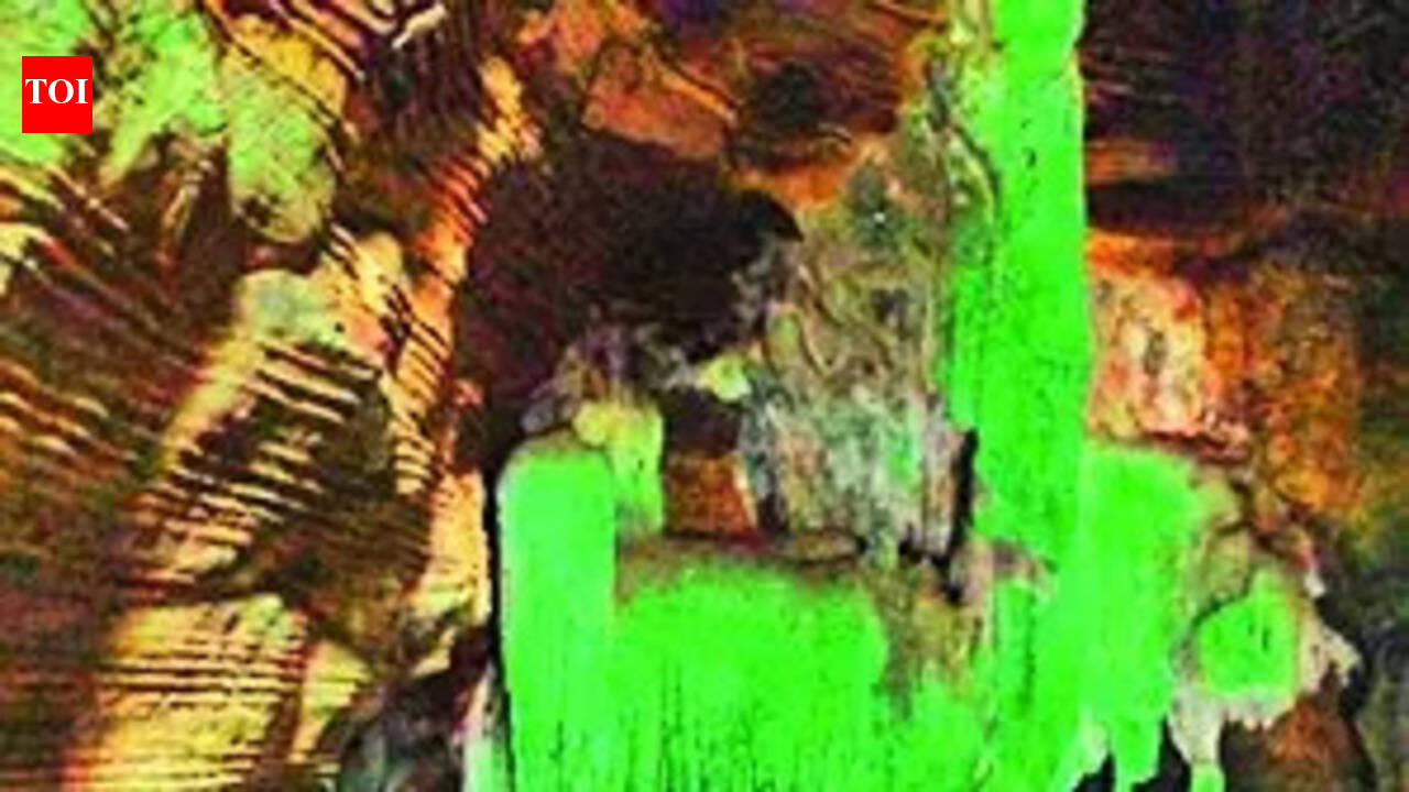 Chhattisgarh: Bastar's Green cave photos spark concerns of eco damage