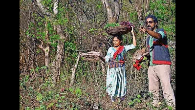 As forests shrink, these Mumbaikars fight plant blindness