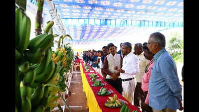 Women’s role in R&D highlighted on NRCB Science Day