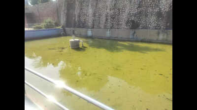 Fountains dry & structures damaged: Talkatora Garden crying for attention