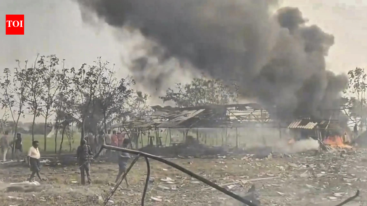 20 dead, most of them women, in Andhra Pradesh's worst firecracker unit explosion