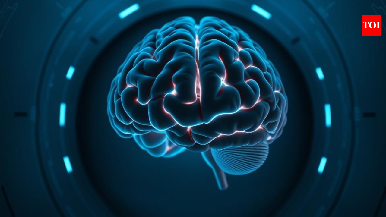 Human brain can grow new cells, remain sharp even in 80s: Study | India News - The Times of India