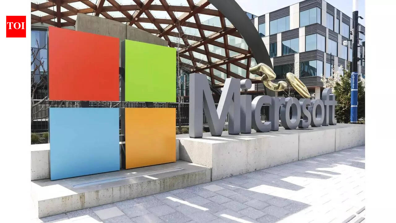 Microsoft Japan chief says company to comply with antitrust investigation: 'Everything we do is...'