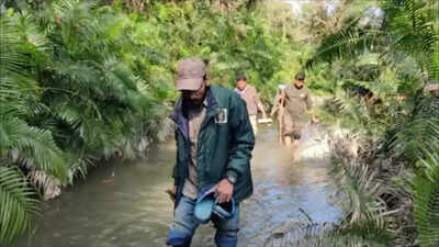 Study reveals rich dung beetle diversity in VTR