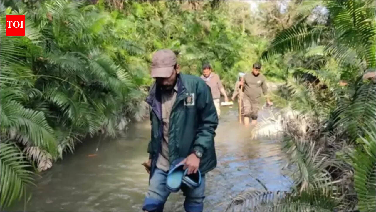 Study reveals rich dung beetle diversity in VTR