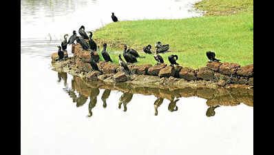 Curtorim gram sabha opposes housing project over Maina lake threat