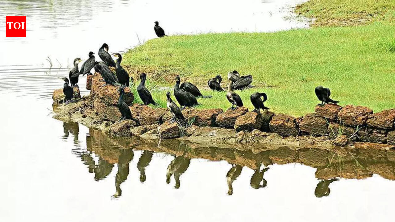 Curtorim gram sabha opposes housing project over Maina lake threat