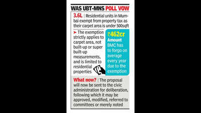 BMC House seeks property tax relief for 700sqft homes