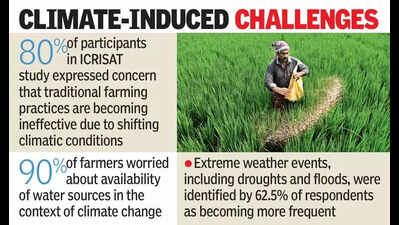 90% of farmers in Telangana concerned over water availability, says ICRISAT study