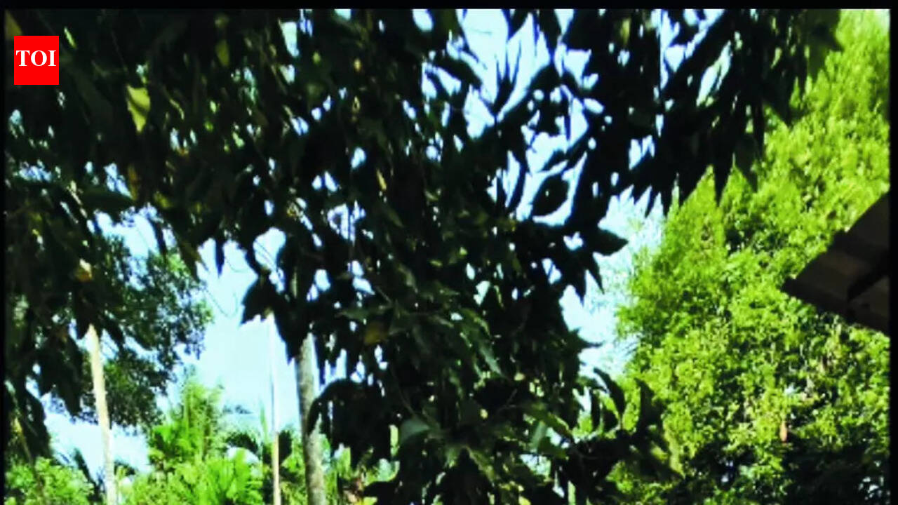 Students take ‘live’ lessons from natural farming hero