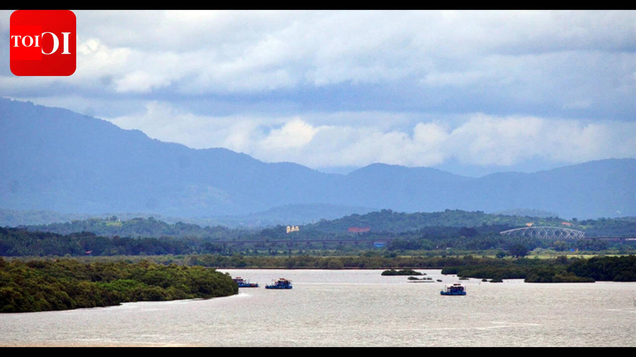 Salvador do Mundo-Chorao bridge a dream come true for some, eco disaster for others
