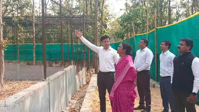 Jhargram to get India’s 2nd pangolin breeding centre
