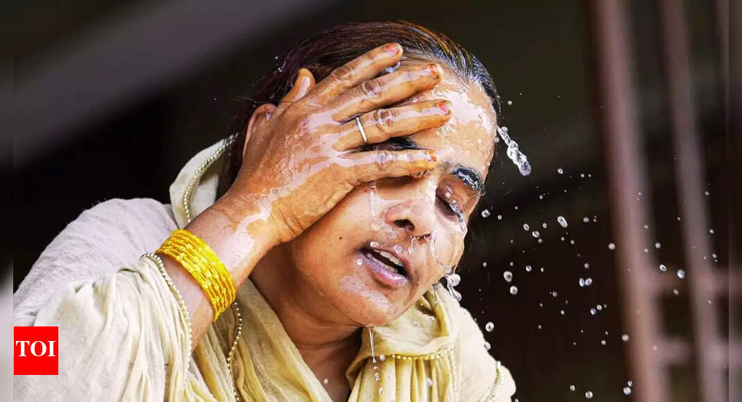 IMD forecasts above-normal heatwave days in several states: What you need to know