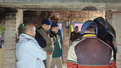 'Strikes them with axe for 30 minutes': UP man kills 4 family members over property dispute; 1 critical