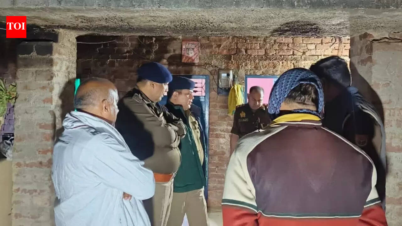 'Strikes them with axe for 30 minutes': UP man kills 4 family members over property dispute; 1 critical