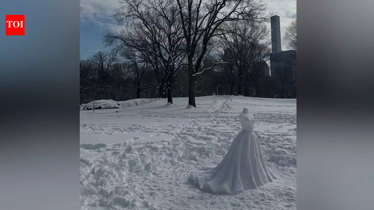 New York City gets a snowy showstopper