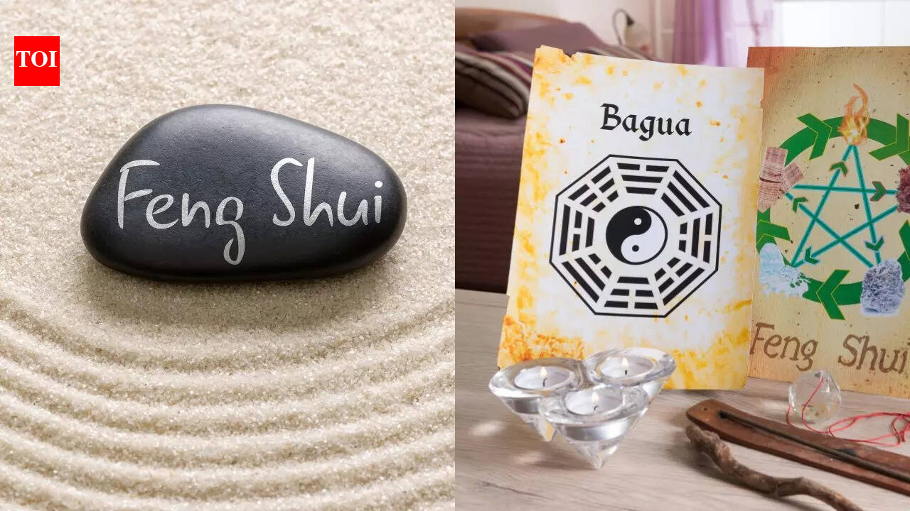 Feng Shui: This is the wealth corner of the house and ways to activate it!