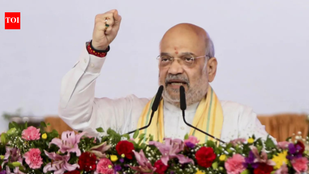 'Not a single Hindu refugee will lose citizenship': Amit Shah in poll-bound West Bengal