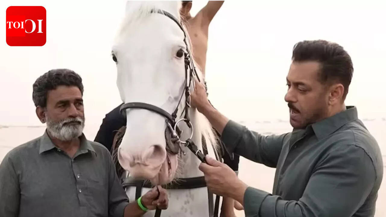Salman Khan used his own horse in 'Main Hoon' from 'Battle of Galwan'