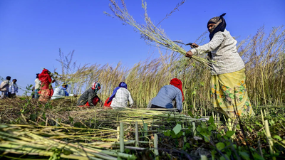  UP boosts food security with tech, nutrition and robust procurement systems