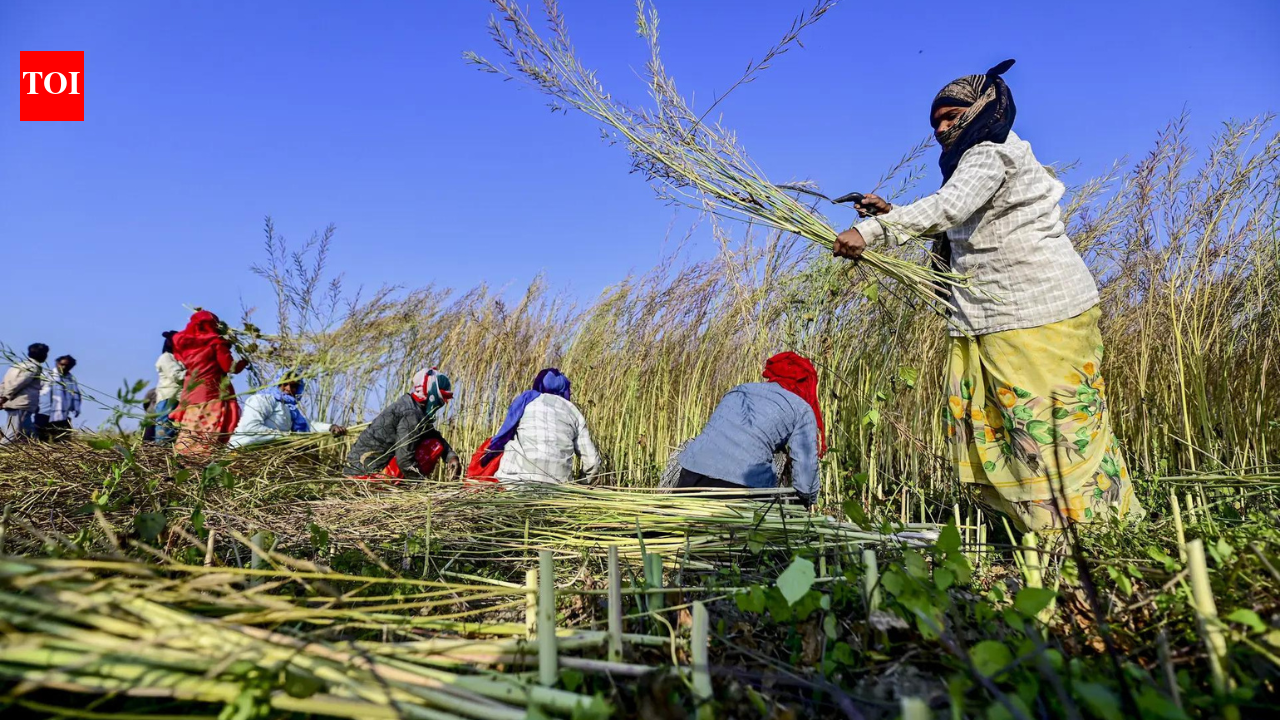 Grains for all: UP boosts food security with tech, nutrition and robust procurement systems