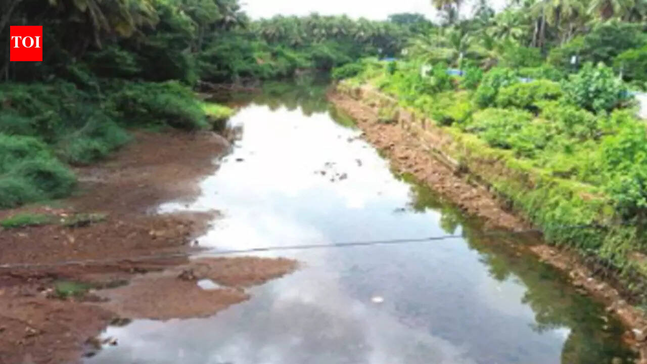 Bicholim river conservation efforts benefit farmers