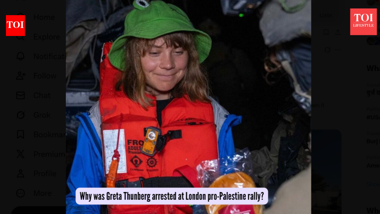 Why was Greta Thunberg arrested at London pro-Palestine rally?