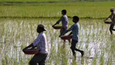 Nilgiris tops TN with 100% farmer ID registration; Coimbatore ranks fifth