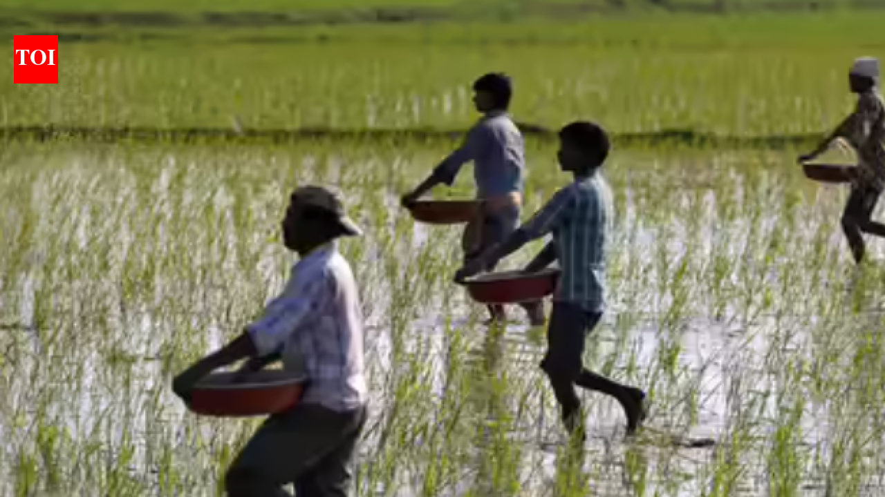 Nilgiris tops TN with 100% farmer ID registration; Coimbatore ranks fifth