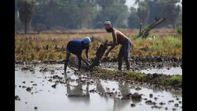 All pending agri power connections in AP to be cleared by month-end