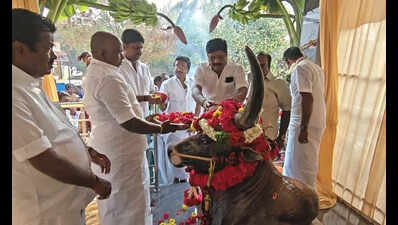 Jallikattu bull owner honours animal with memorial on 1st death anniversary