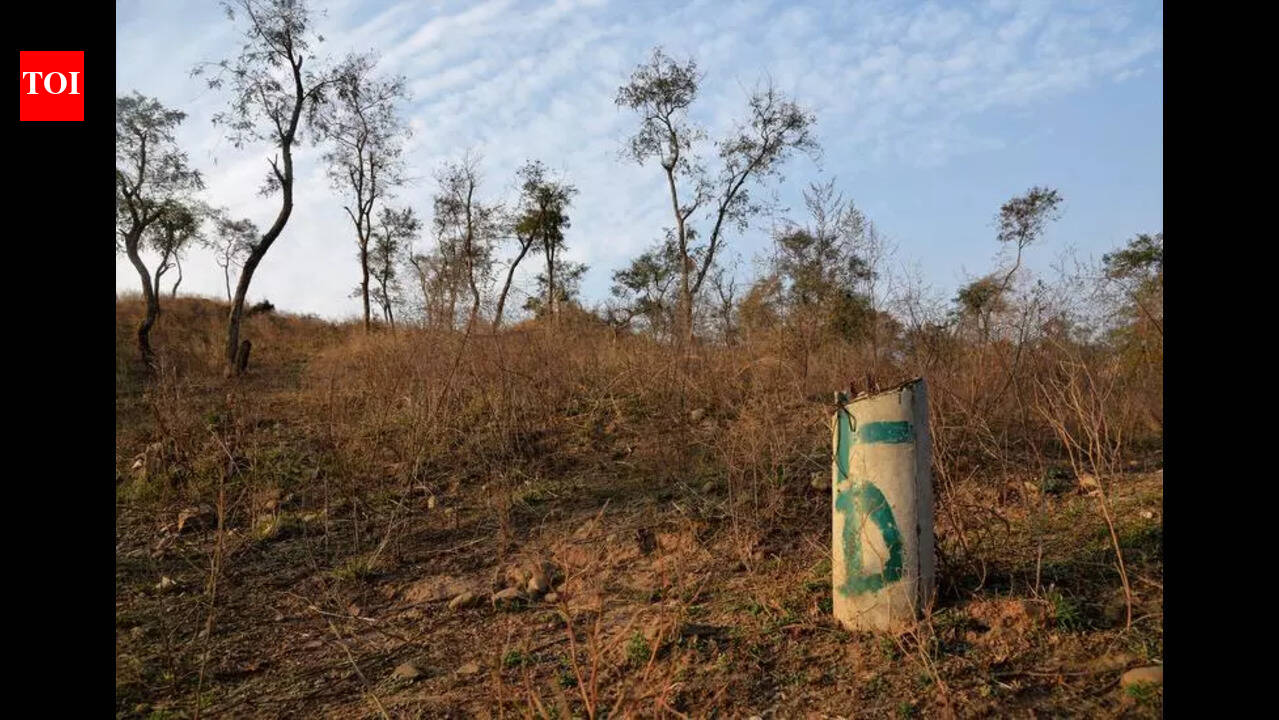 Punjab turns to geospatial tech to fix forest boundary gaps