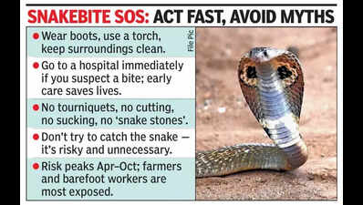 Snakebite cases likely to rise in summer, warns expert
