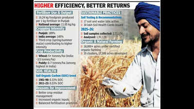 Each kg of fertiliser yields over 16kg foodgrain in Punjab, reveals data