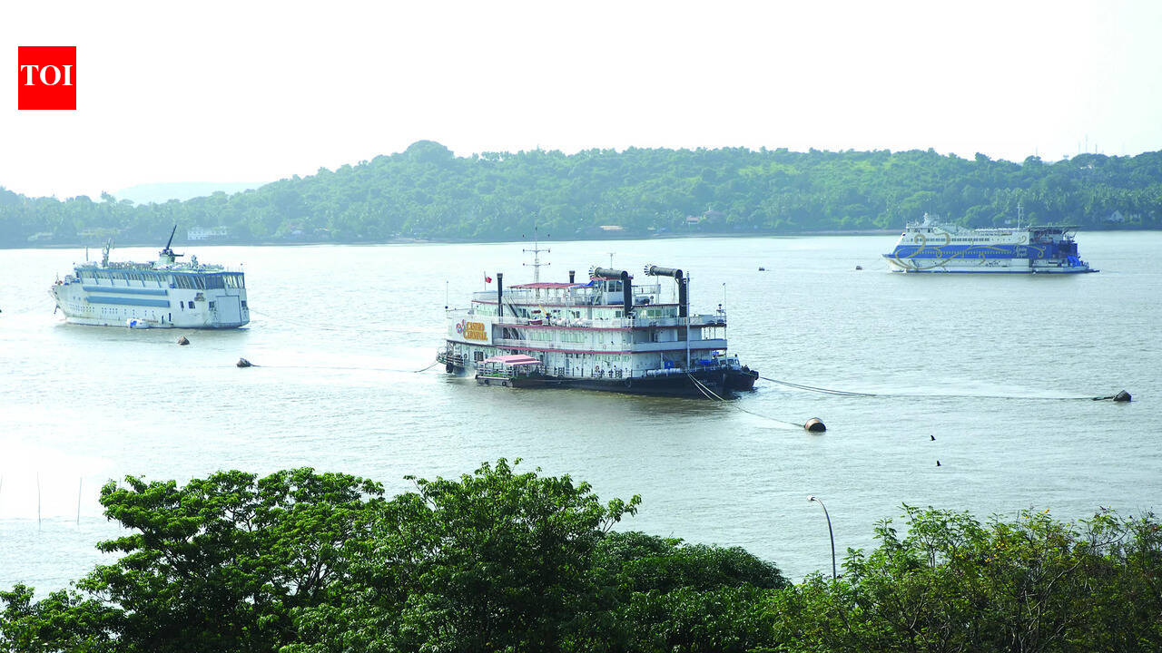 Lawyers working pro bono to draft plea against casino: Ex-CJ