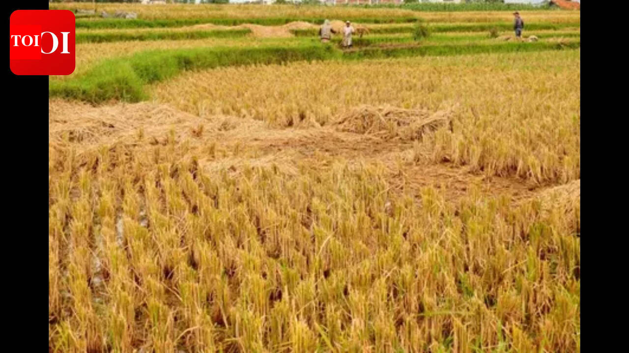 GFP submits agri bill for introduction in assembly