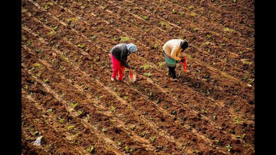 First-ever women farmers’ mega fair on Mar 8-9