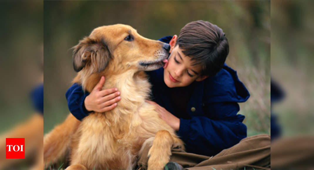 8 Reasons Why Keeping a Pet Is a Good Idea | - Times of India